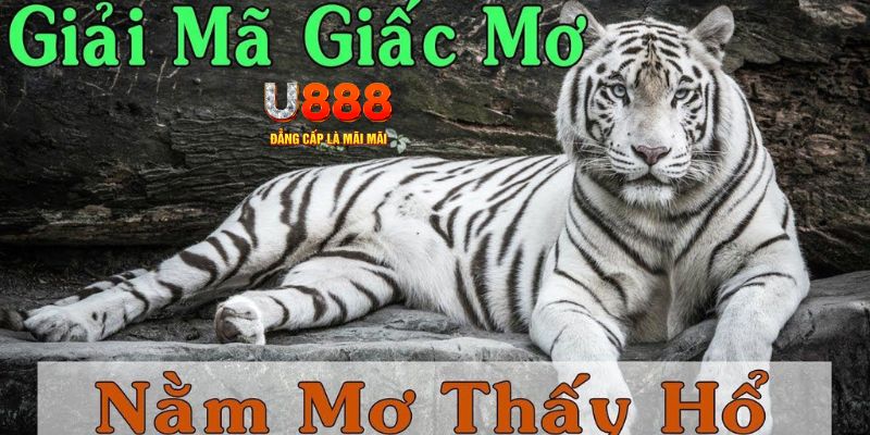 Sổ mơ thấy Hổ đánh con gì ở một số diễn biến khác