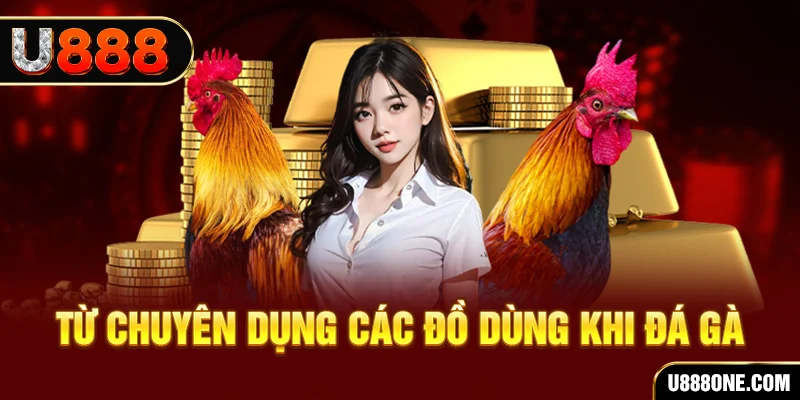 Từ chuyên dụng các đồ dùng khi đá gà