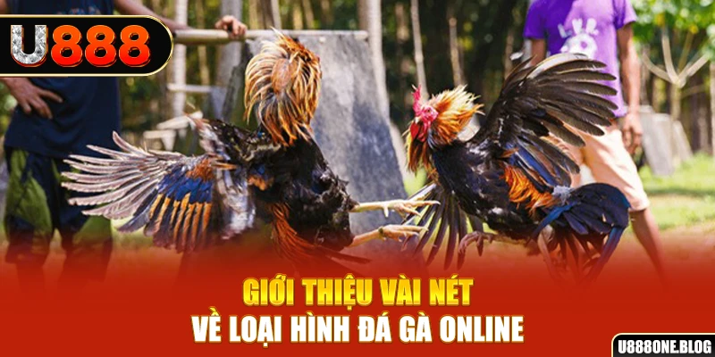 Giới thiệu vài nét về loại hình đá gà online