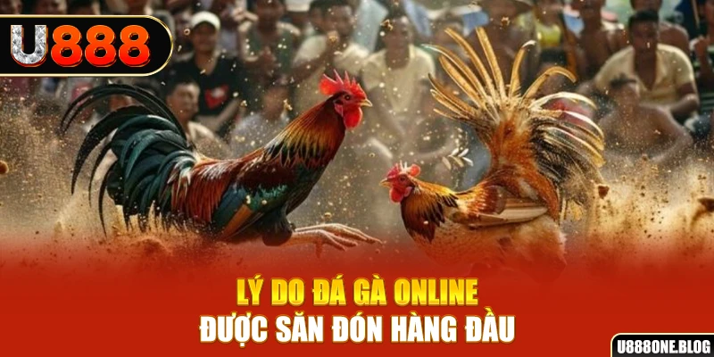 Lý do đá gà online được săn đón hàng đầu